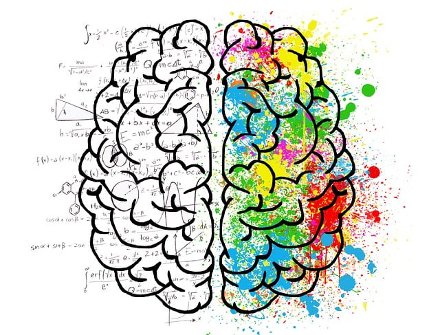 Role mozku a smyslových orgánů ve vnímání