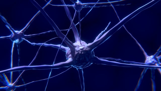 Elektrické signály a komunikace mezi neurony