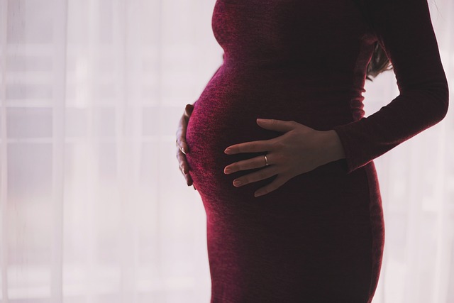 Prenatální období: Jak probíhá vývoj plodu v těhotenství