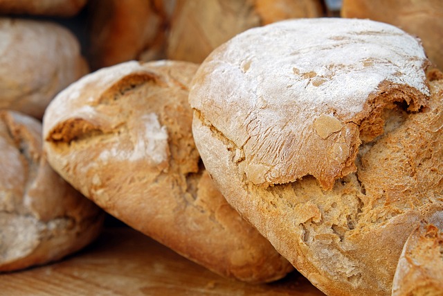 Obiloviny a Chléb: Historie a Výživový Význam