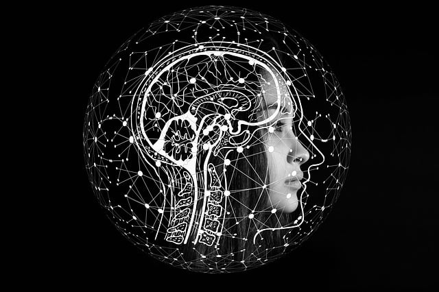 Koncový mozek: Struktura a funkce v nervové soustavě
