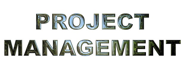 Projektový trojimperativ a životní cyklus projektu: Management projektů
