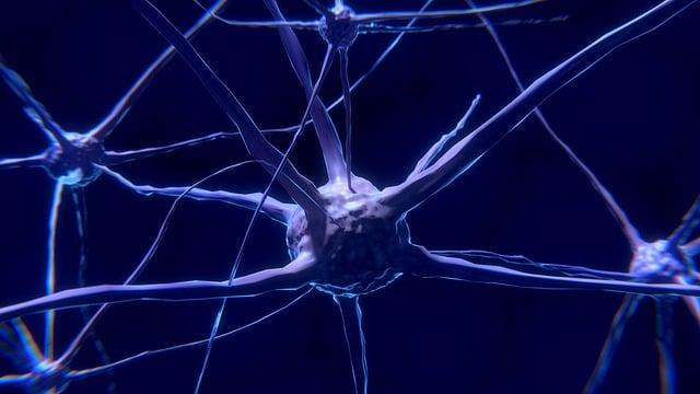 Obnovení funkce mozku po úrazech: Jakými metodami se může pomoci?
