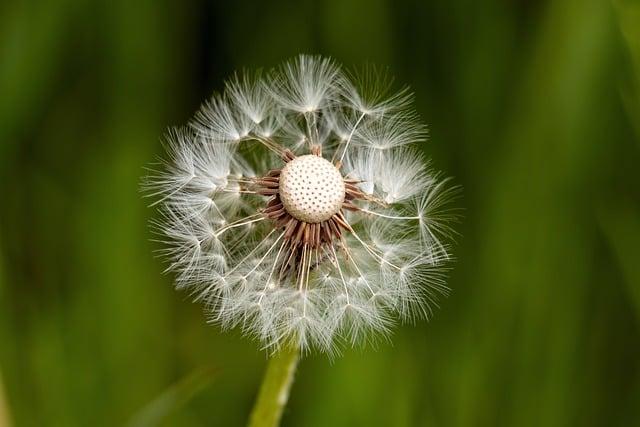 1. ⁤Vysvětlení koncepce resilience a její důležitost v době krize