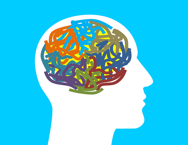 Poruchy inteligence: Jak rozumět kognitivním funkcím