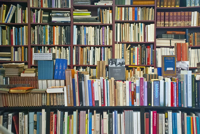 Co je bibliografie a proč je důležitá⁤ při tvorbě seznamu použité‍ literatury