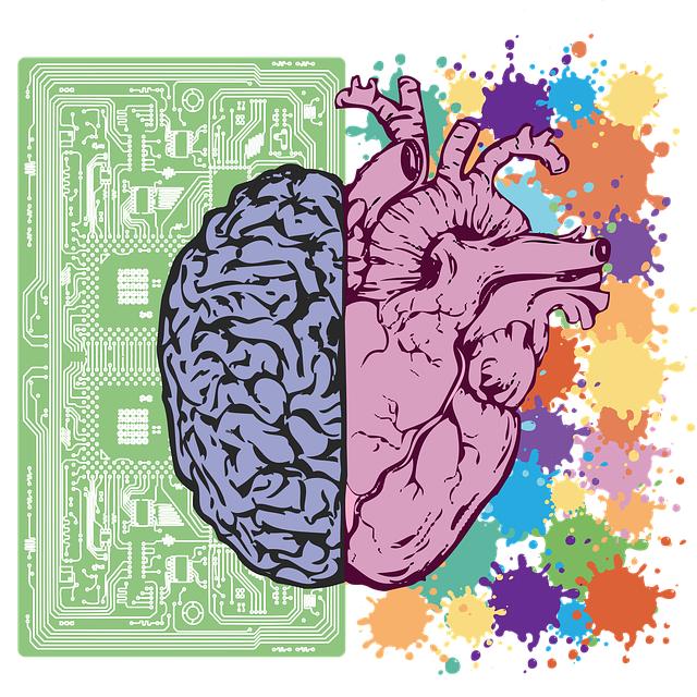 Střední mozek – mesencephalon: Tajemství našeho mozku