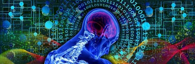 Mozkové a Obvodové Nervy: Jak fungují naše mozkové signály