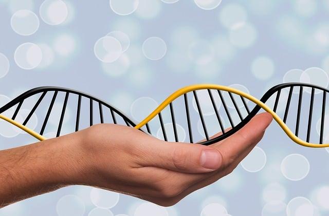 3. Vliv genetiky na naše zdraví: Jaký je podíl genů v predispozici k nemocem?