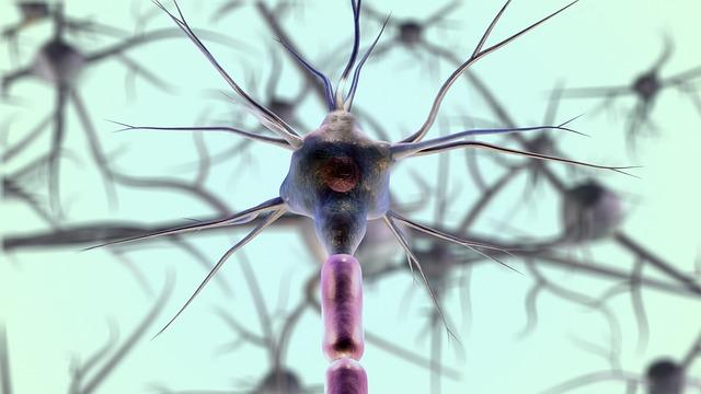 Význam neuronové⁤ sítě pro rychlou a účinnou ⁣komunikaci ⁤v těle